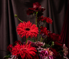 Kiss From A Rose: The Deep Kiss