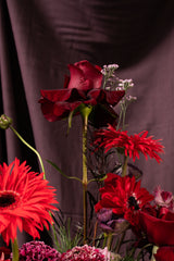 Kiss From A Rose: The Deep Kiss