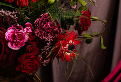 A Kiss From A Rose Collection: The Cheek Kiss
