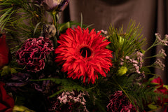 A Kiss From A Rose Collection: The Cheek Kiss